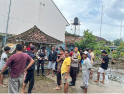 Pencuri Beras 1 Kuintal di Kotaraja Diringkus Warga, Pelaku Tertangkap di Heler Saat Hendak Menjual Barang Curian Sikur