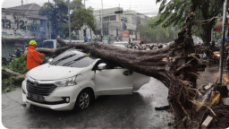 Hujan Disertai Angin Kencang, Pohon Tumbang Timpa Mobil di Jalan Mojopahit Sidoarjo
