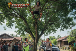 Bos Kafe di Nganjuk Ditangkap, 38,90 Gram Sabu Siap Edar Disita Polisi