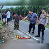 Diserang Brutal di Jalan Sawah, Istri Pensiunan TNI Dibacok OTK di Lumajang — Motif Masih Misterius